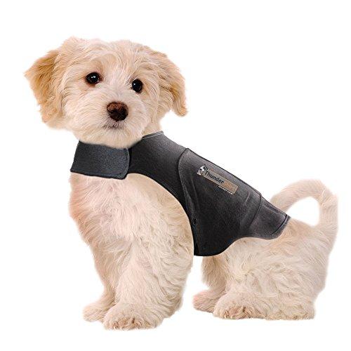 thundershirt anxiety jacket