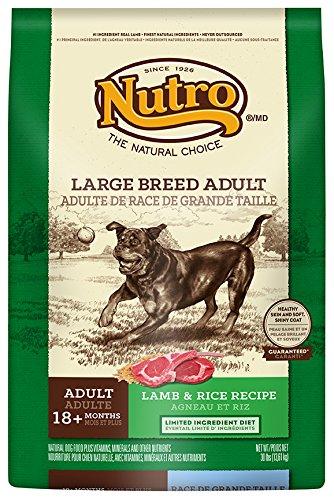 The Nutro Company Large Breed Adult Dog Food with Lamb and | Stuff For Dogz